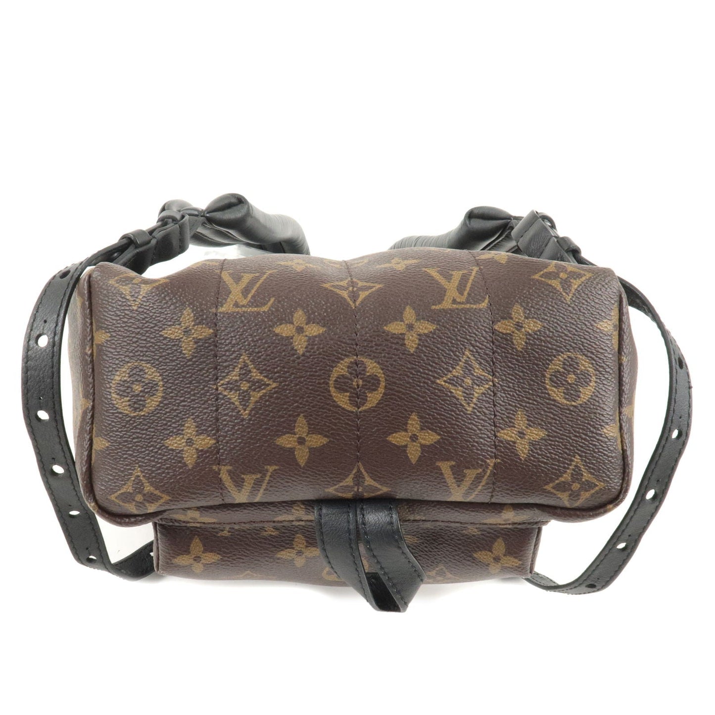 Louis Vuitton Monogram Palm Springs Backpack PM Rucksack LV Brand Bag