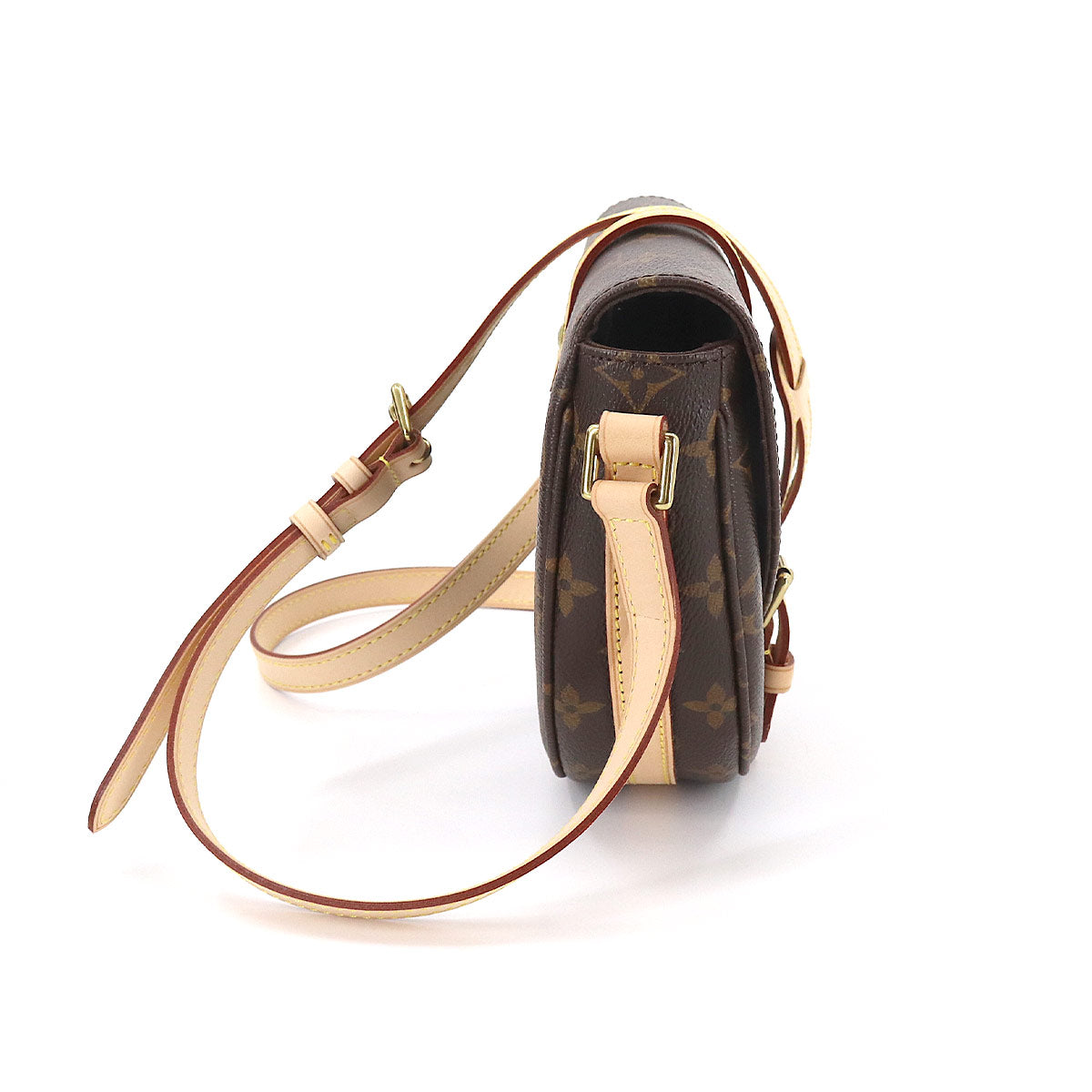 Louis Vuitton Monogram Shanti PM Shoulder Bag