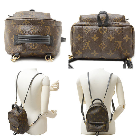 Louis Vuitton Bag Monogram Palm Springs Mini Rucksack Backpack