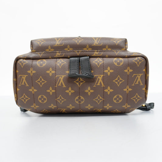 Louis Vuitton Rucksack Monogram Palm Spring MM