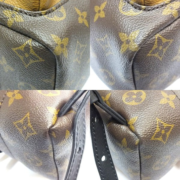Louis Vuitton Monogram Reverse Palm Springs Backpack PM Rucksack
