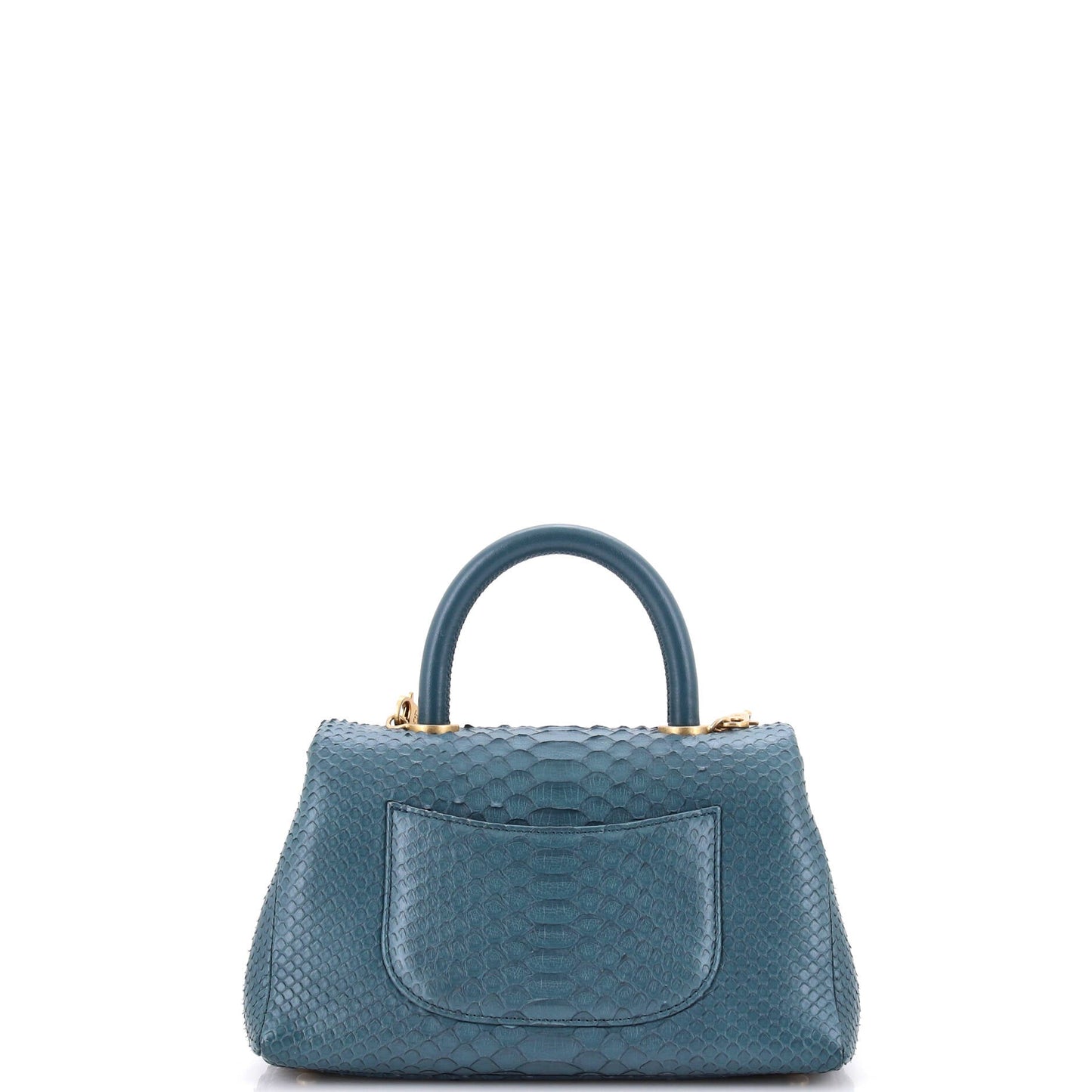 Coco Top Handle Bag Python Mini