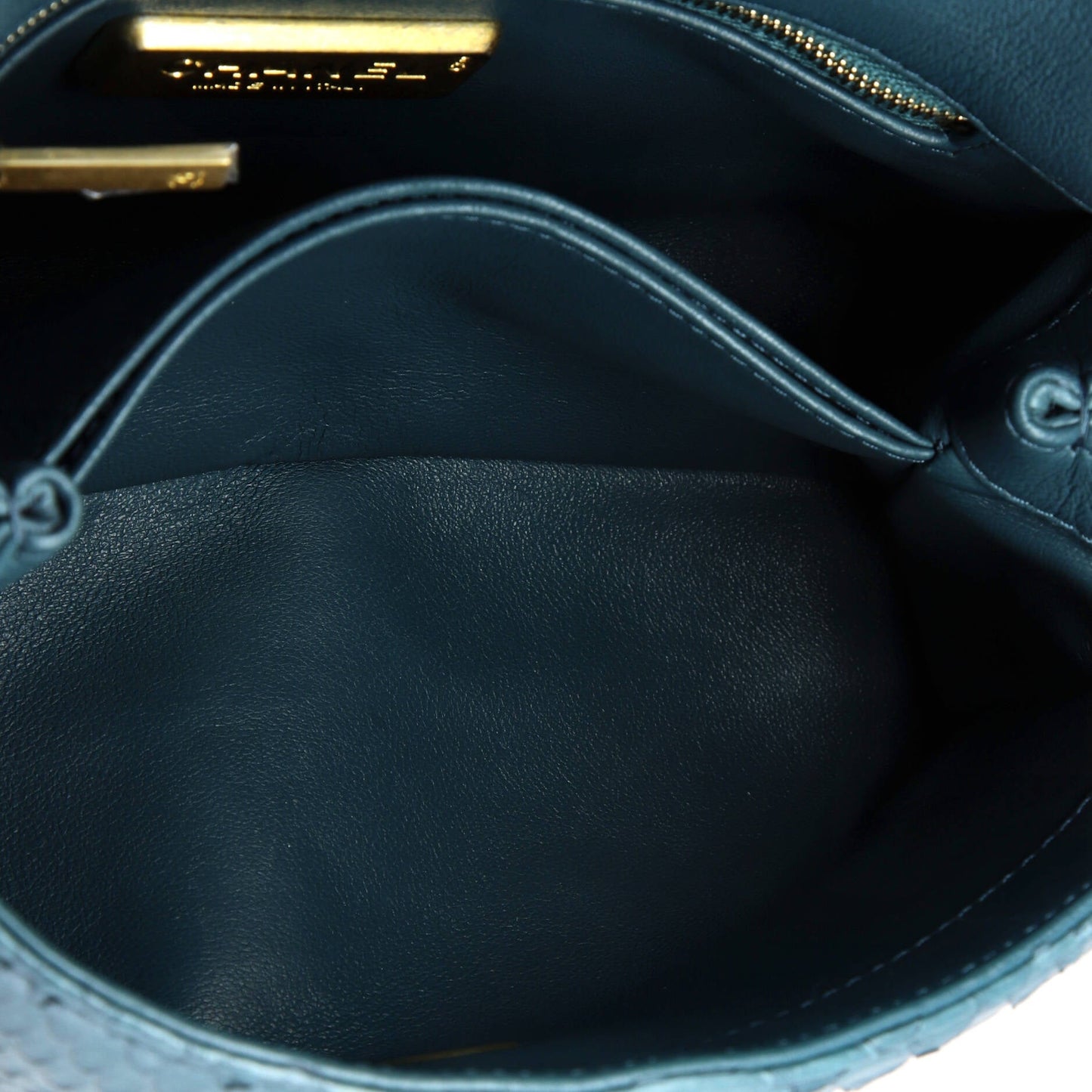Coco Top Handle Bag Python Mini
