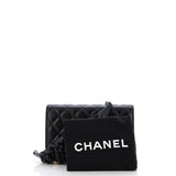 Camellia Shoulder Pad Wallet on Chain Quilted Metallic Lambskin
