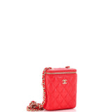 Vertical Classic Vanity Case with Chain Quilted Caviar Mini