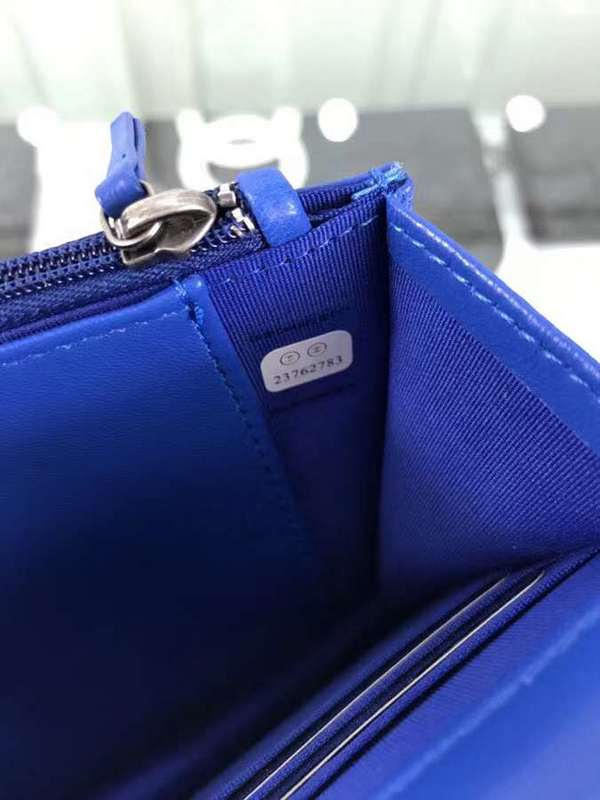 Amelia- CHL Bags - 6517