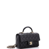 Classic Single Flap Top Handle Bag Quilted Iridescent Lambskin Mini