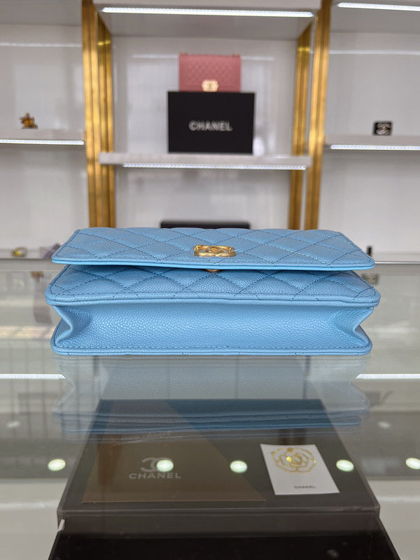 AmeliaLuxury - CHL Bags - 3187