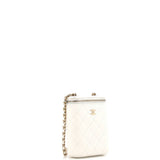 Vertical Classic Vanity Case with Chain Quilted Caviar Small