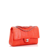 Classic Double Flap Bag Python Medium