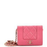 CHANEL Mademoiselle   Card Holder on Chain Quilted Sheepskin Mini