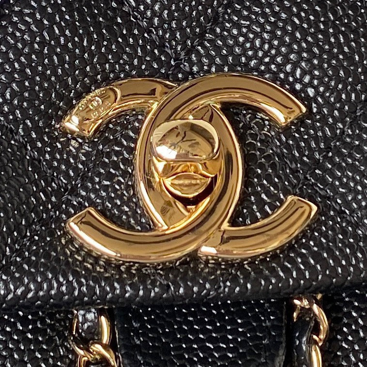 Amelia- CHL Bags - 7557