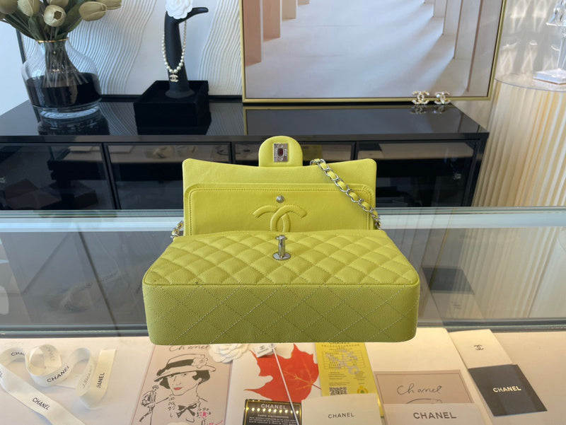 Amelia- CHL Bags - 6691