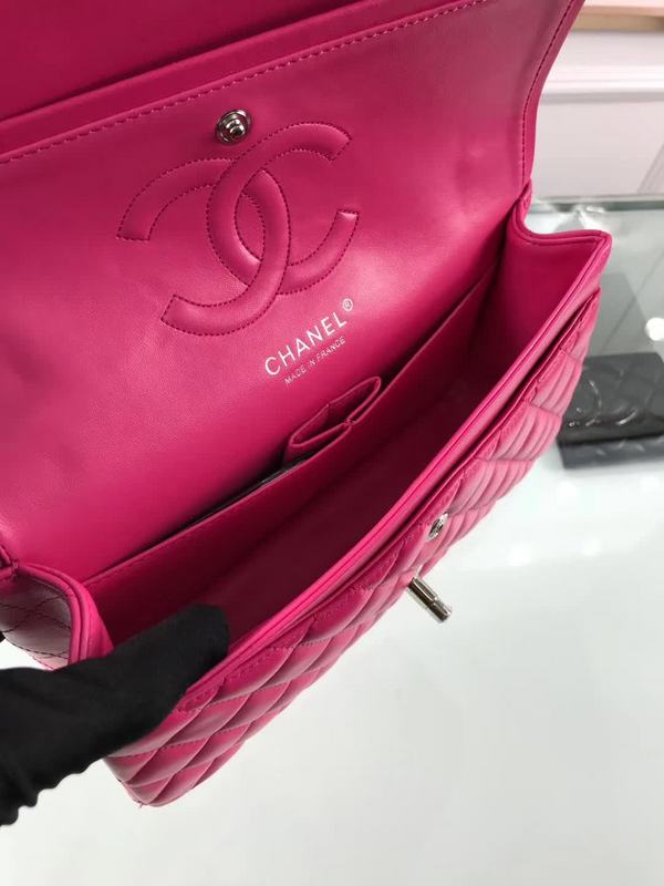 Amelia- CHL Bags - 6672