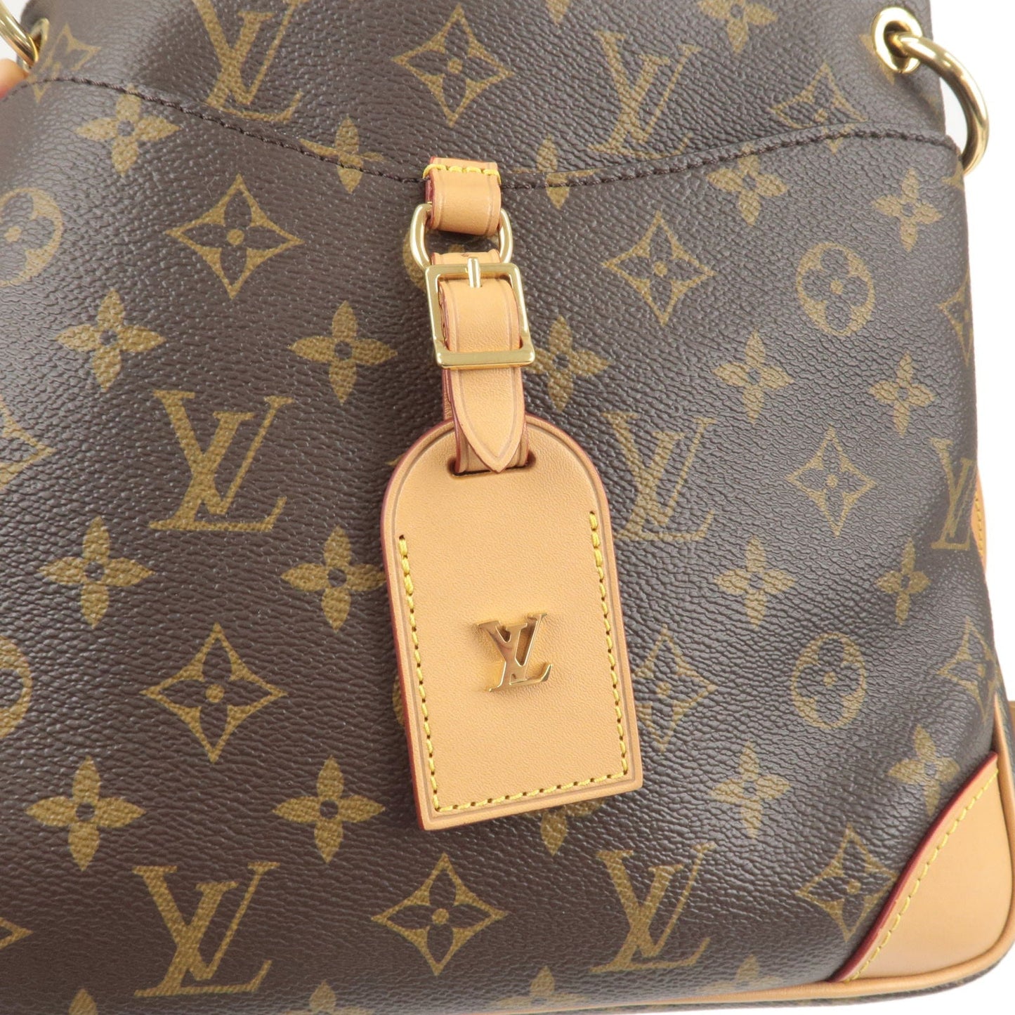 Louis Vuitton Monogram Odeon NM PM Diagonal Shoulder Bag