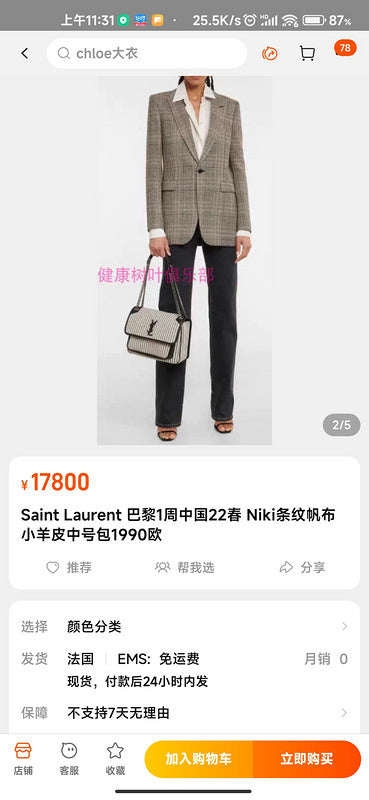Amelia - YSL Bag - 3658