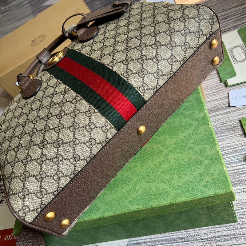 Amelia- GCI LUXURY LADY BAG - BRANDED BAGS FOR WOMEN - 405