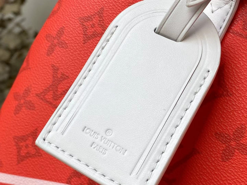 Fan Fashion Lu-Vi bags - 17596