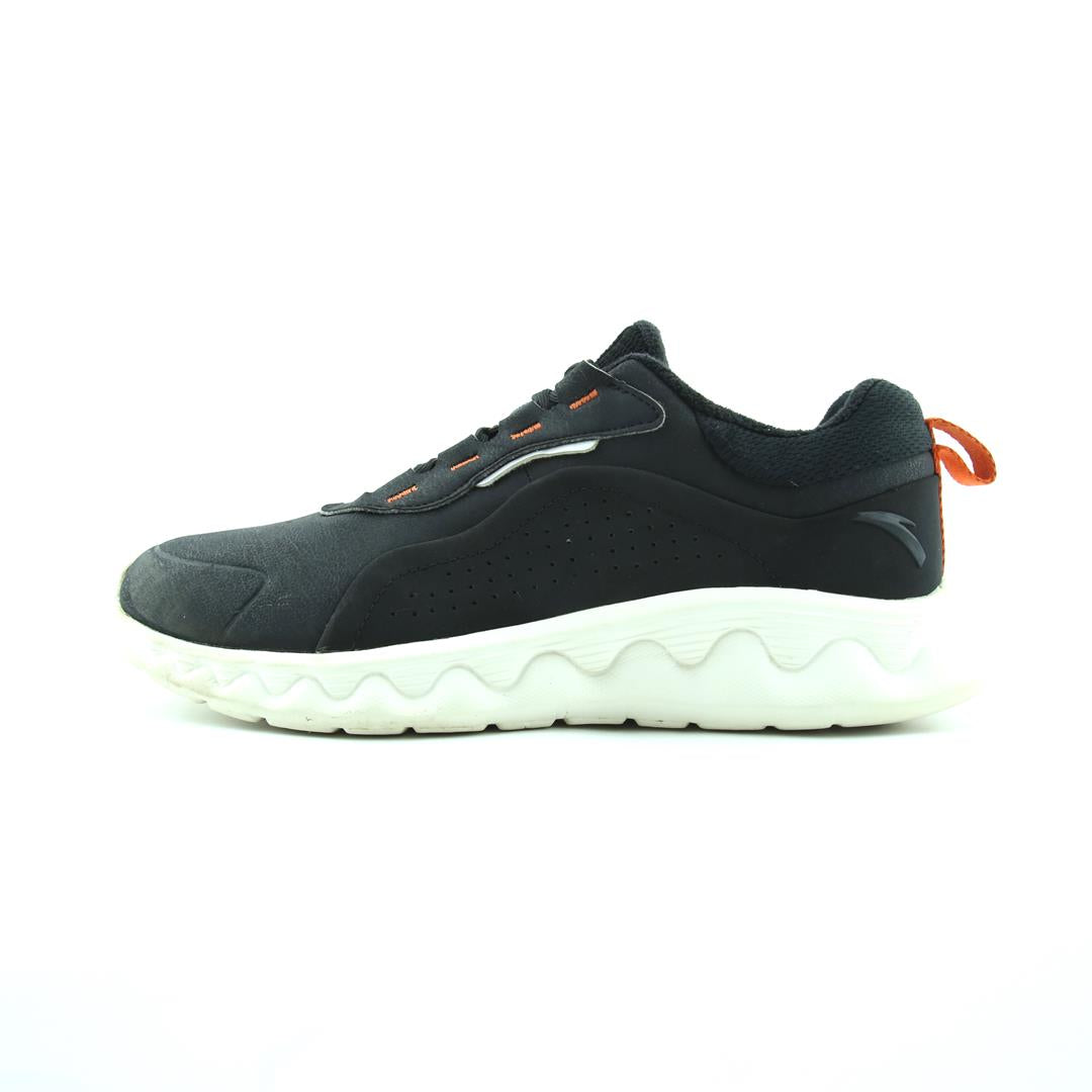 ANTA .