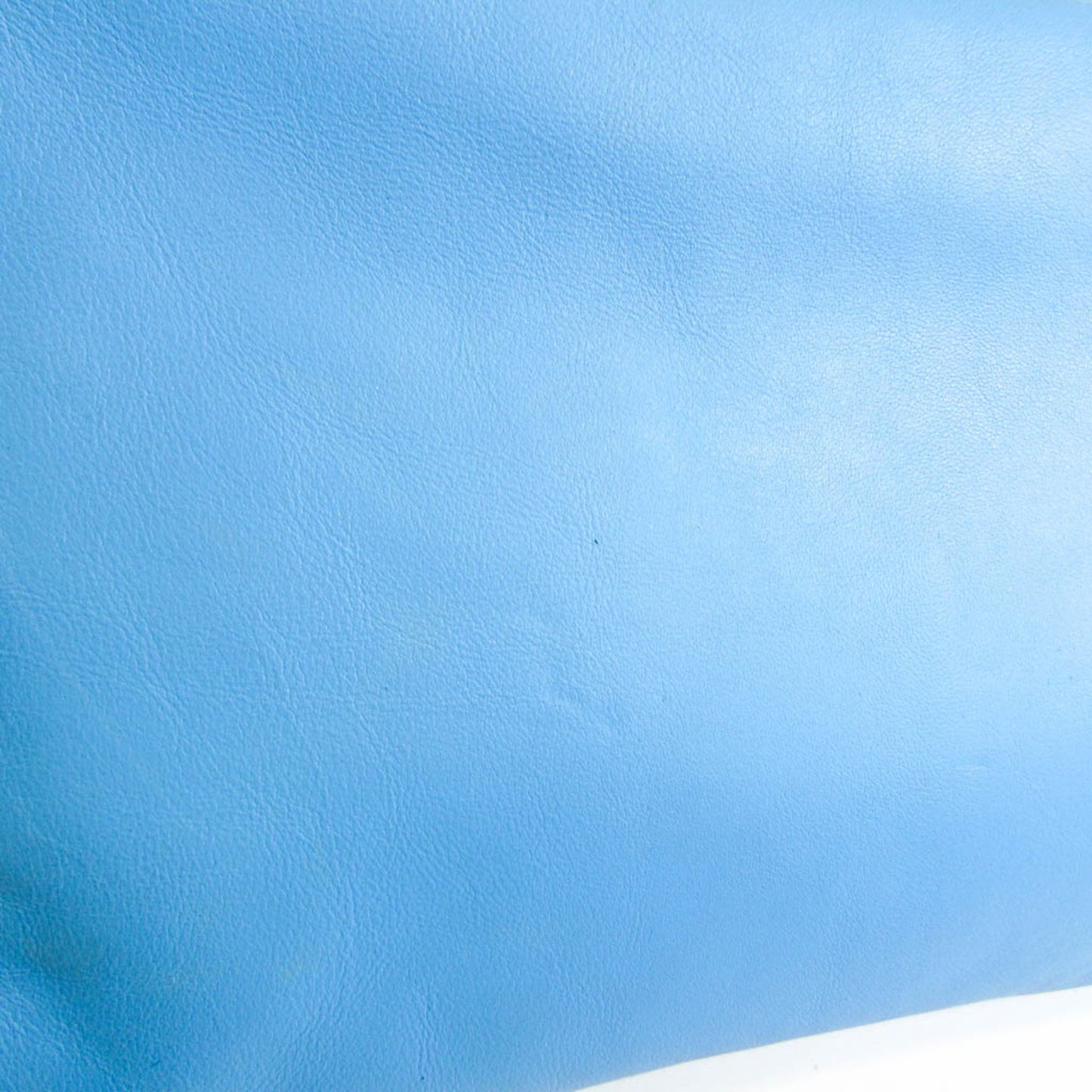 Bottega Veneta  Leather Clutch Bag