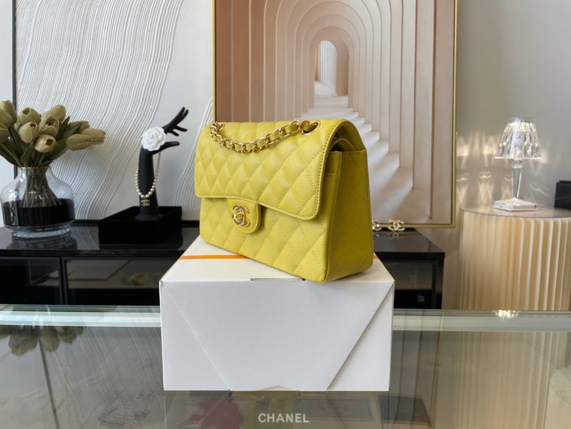 Amelia-  CHL BAGS  - 351