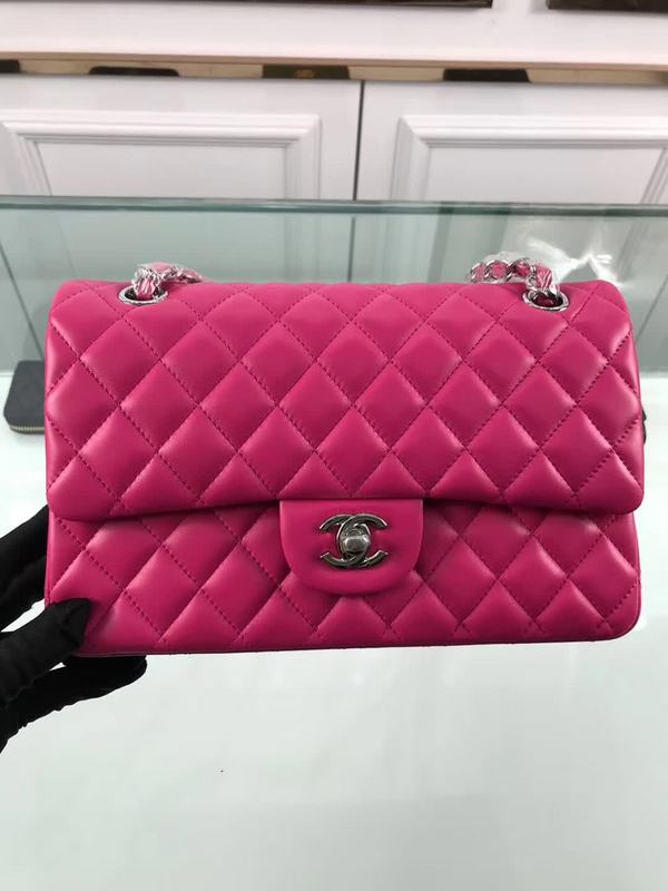 Amelia- CHL Bags - 6672