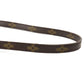 Louis Vuitton Monogram Double Lava Shoulder Bag Pochette