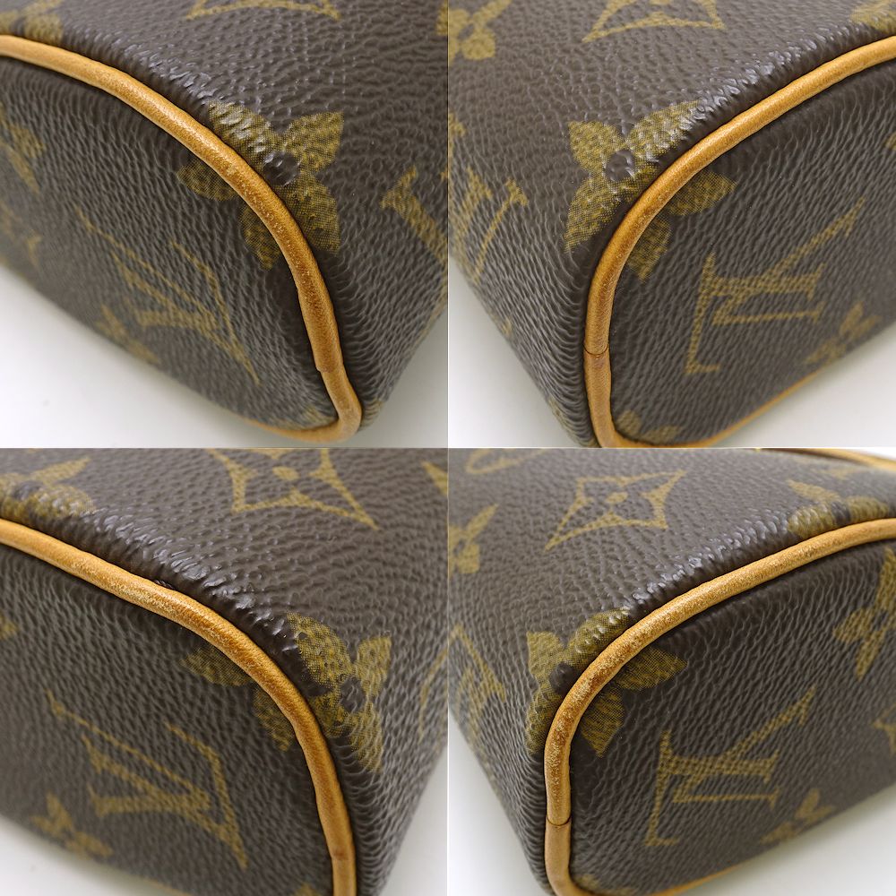 Louis Vuitton Monogram Sonatine Brown Handbag
