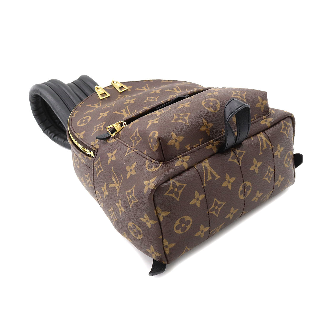 Louis Vuitton Monogram Palm Springs Backpack PM Backpack Brown