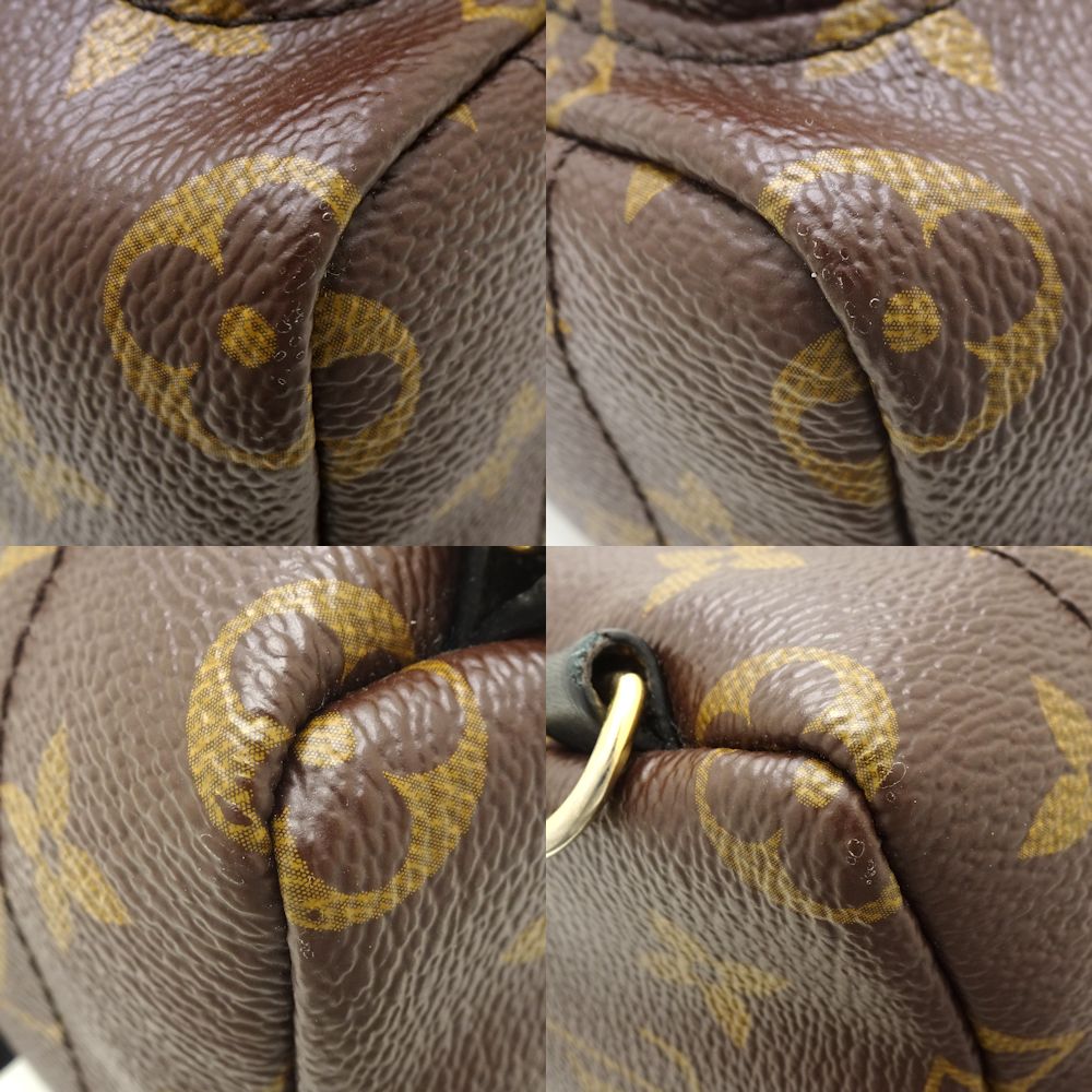 Louis Vuitton Monogram Palm Springs MINI Brown Mini Backpack