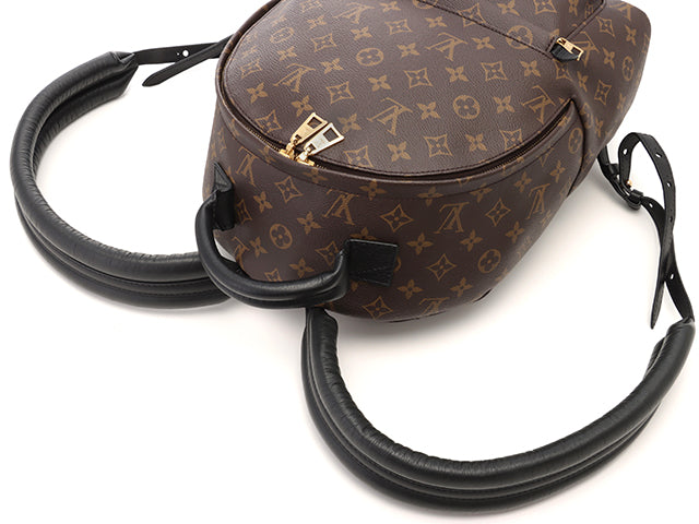 Louis Vuitton Palm Springs Backpack MM