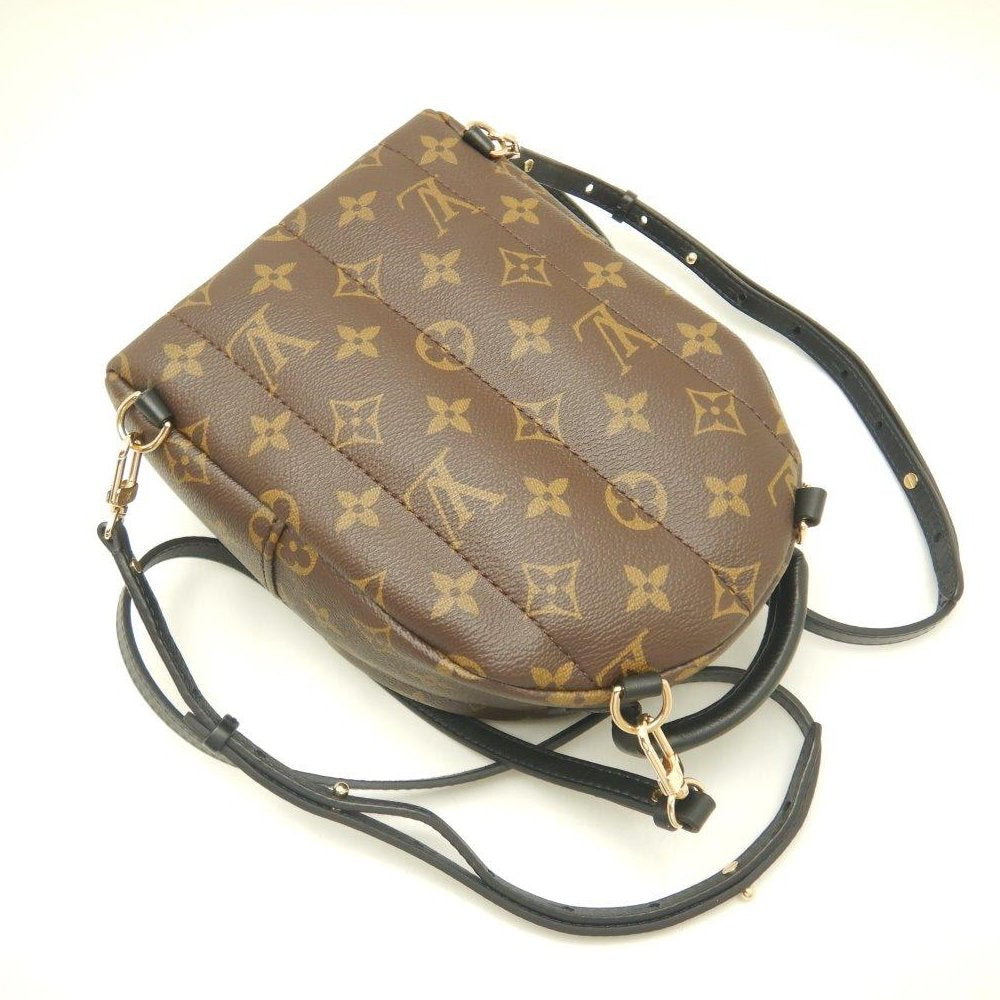 Louis Vuitton Monogram Palm Springs Backpack MINI Brown