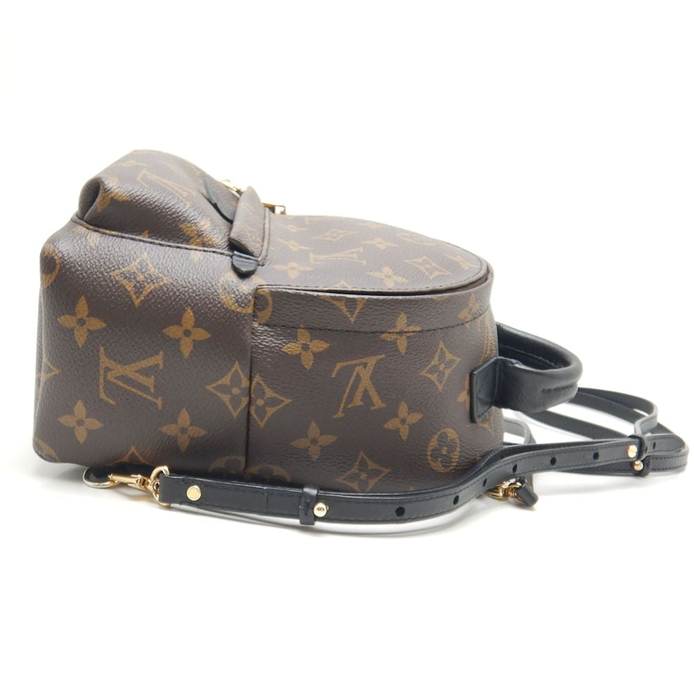 Louis Vuitton Monogram Palm Springs Backpack Mini Rucksack Brown