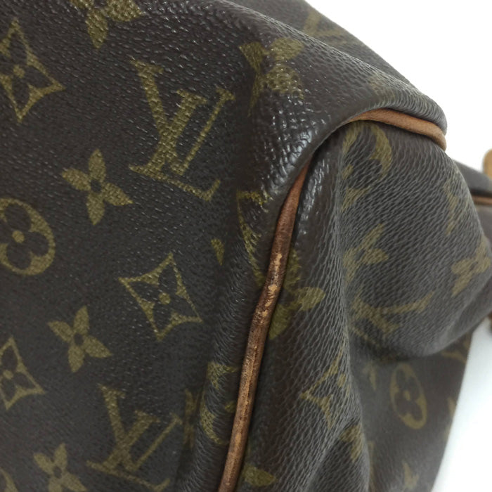 Louis Vuitton Speedy 30 Monogram Handbag