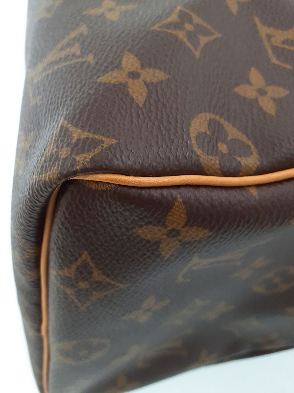 Louis Vuitton Monogram Speedy 25 Handbag Brown
