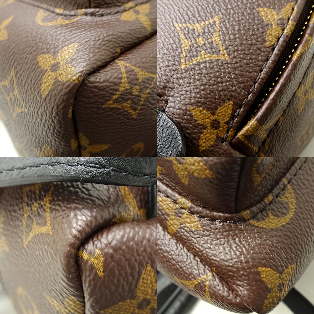 Louis Vuitton Monogram Palm Springs PM Backpack Brown