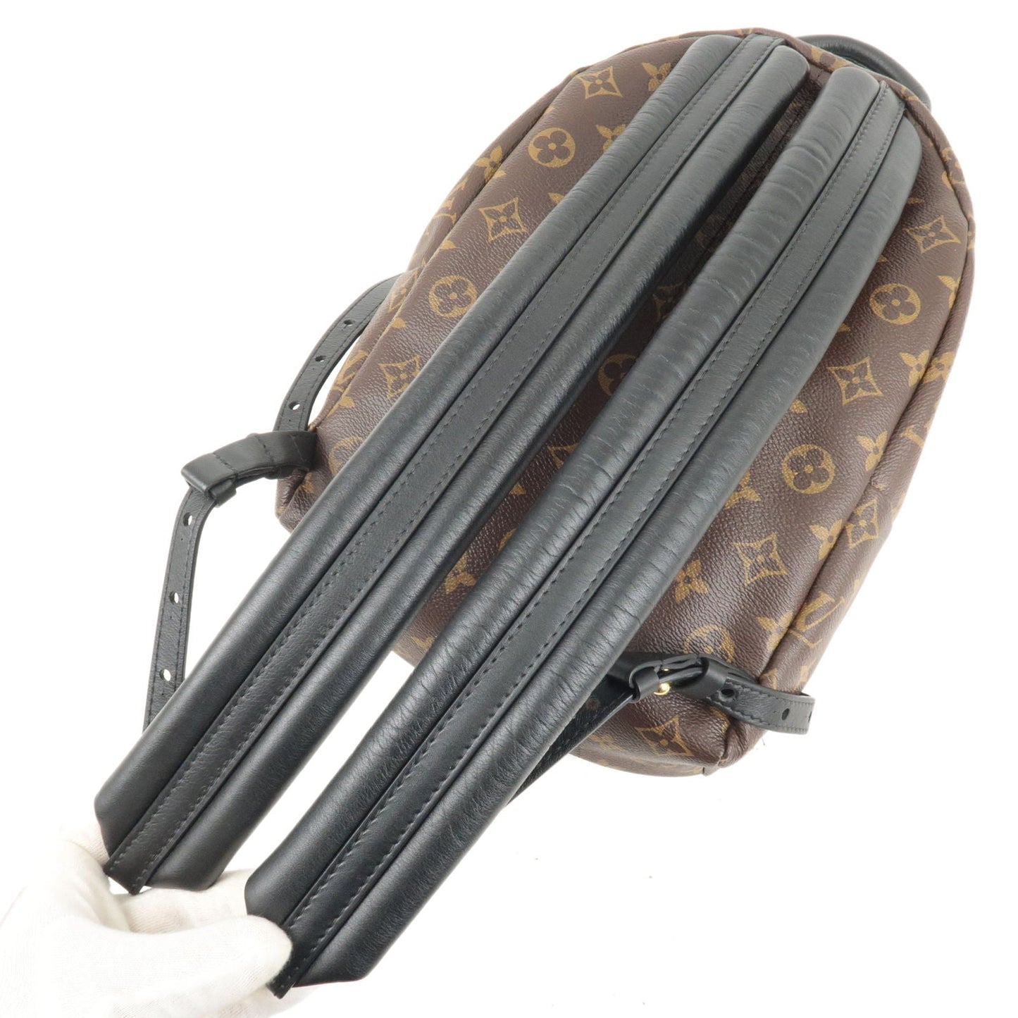 Louis Vuitton Monogram Palm Springs Backpack PM Rucksack