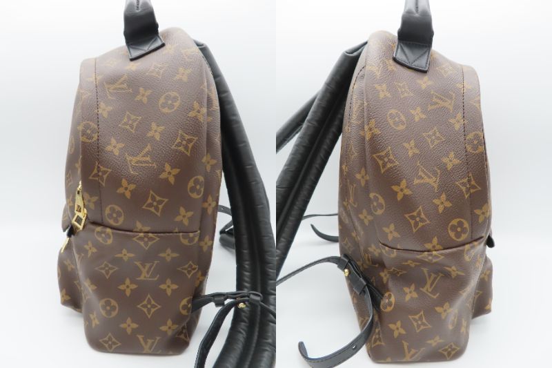 Louis Vuitton Palm Springs Backpack MM Rucksack Backpack Monogram