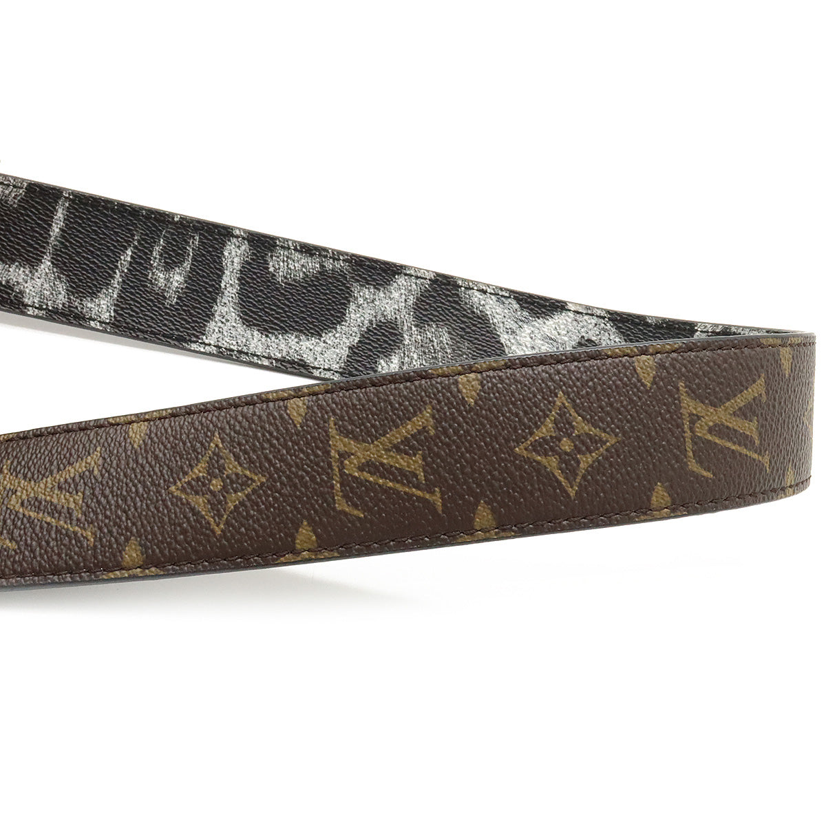 Louis Vuitton Damier Graphite Alpha Wearable Wallet