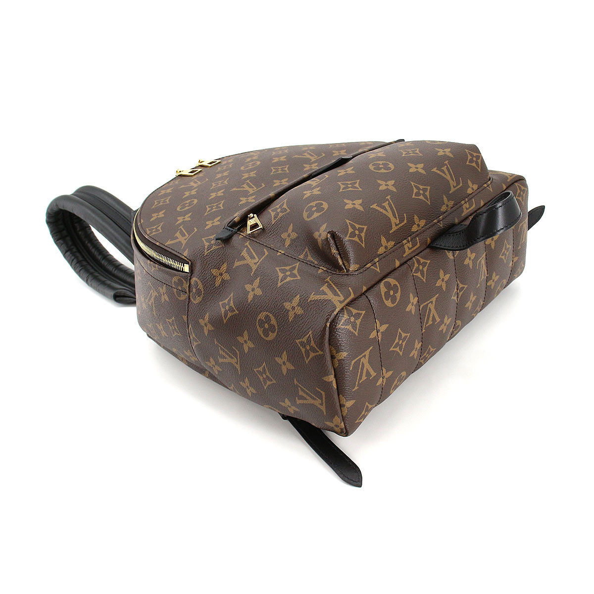 Louis Vuitton Monogram Palm Springs Backpack MM Brown