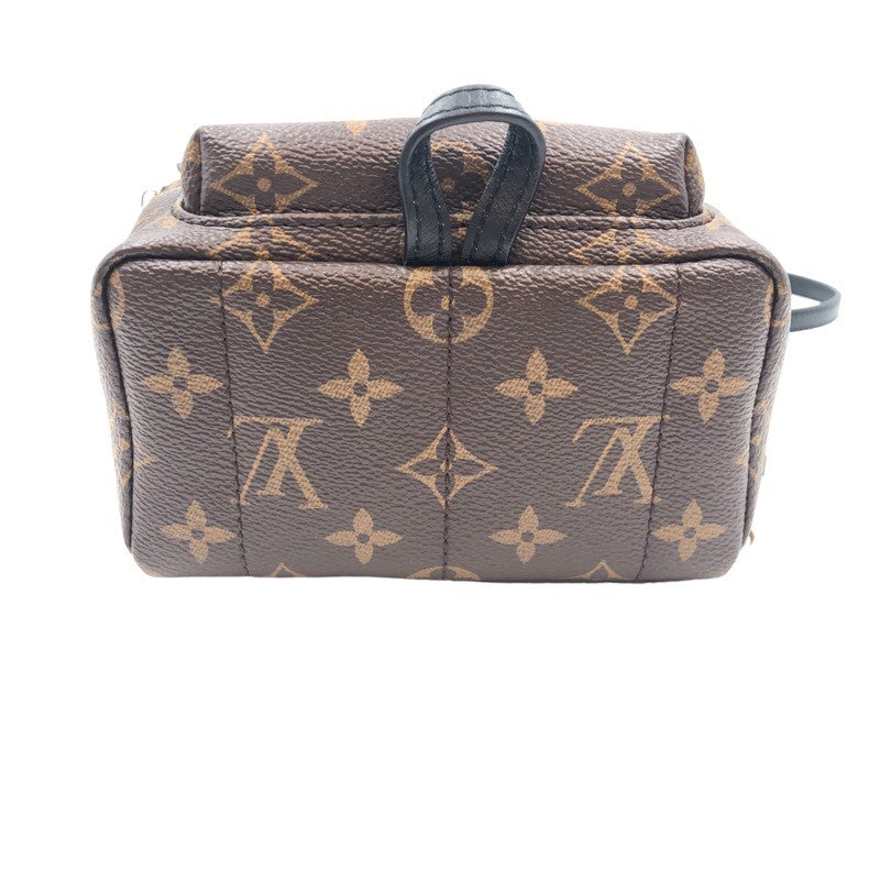 Louis Vuitton Palm Springs Mini Backpack Daypack