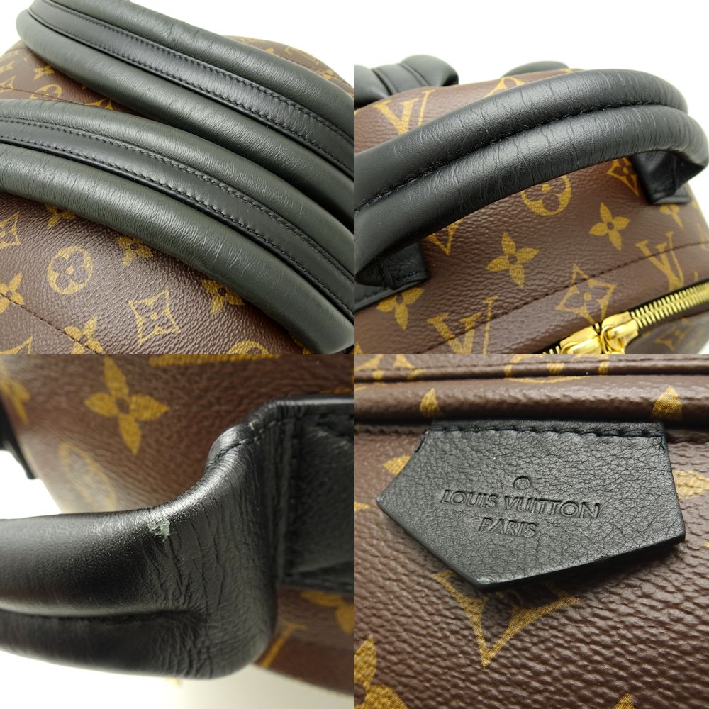 Louis Vuitton  Monogram Palm Springs Backpack MM Brown