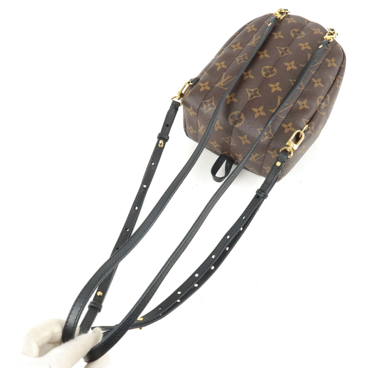 Louis Vuitton Monogram Palm Springs Backpack Mini Rucksack