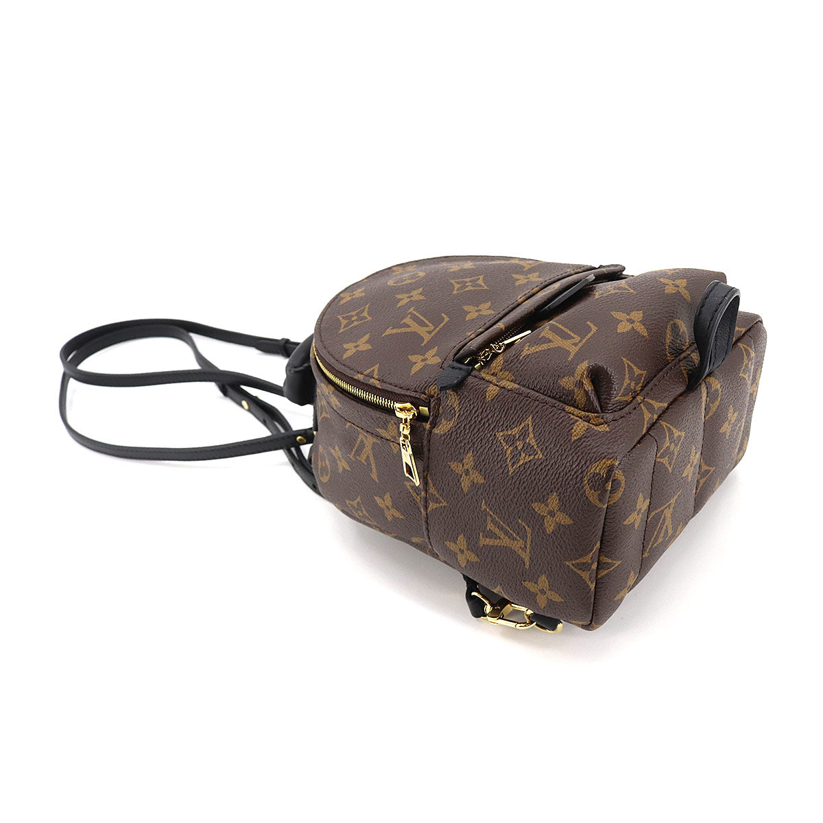 Louis Vuitton Monogram Palm Springs Backpack Mini Rucksack