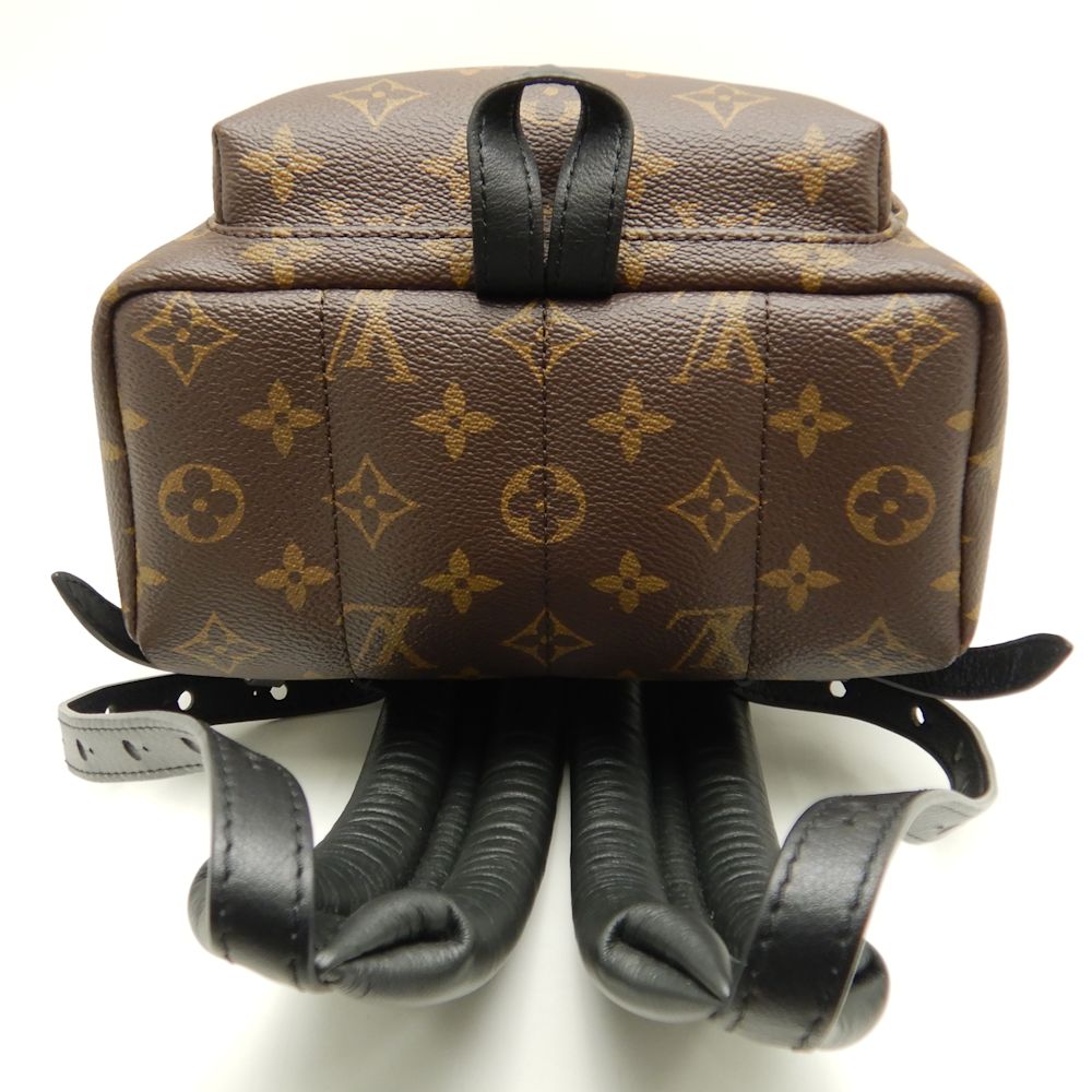 Louis Vuitton Monogram Palm Springs Backpack PM Brown Rucksack