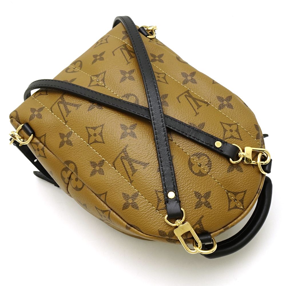 Louis Vuitton Monogram Reverse Palm Springs Backpack