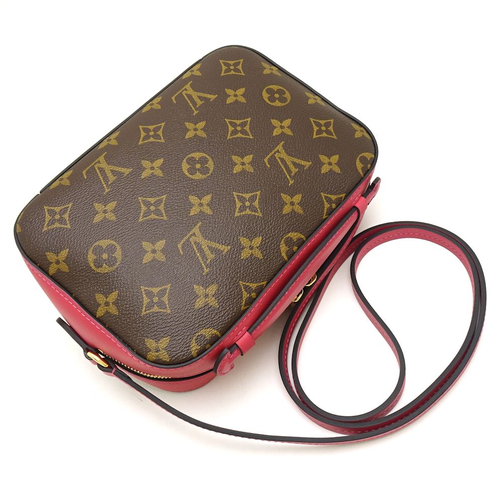 Louis Vuitton Monogram Santonge Freesia Shoulder Bag