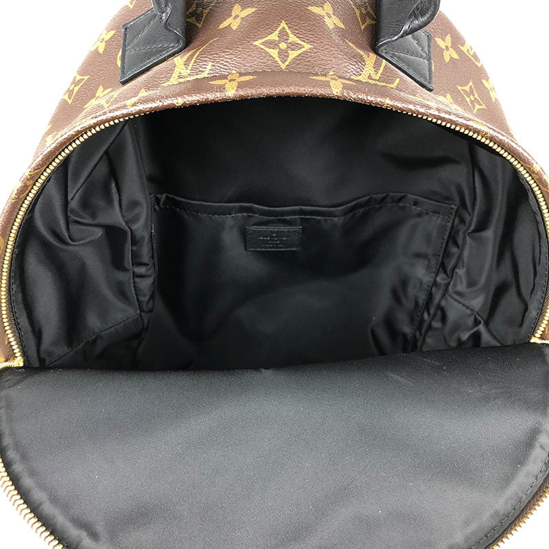 Louis Vuitton Palm Springs Backpack PM Monogram