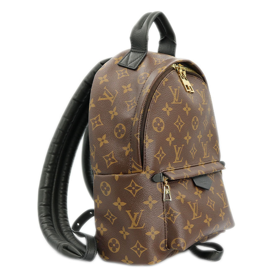 Louis Vuitton Palm Springs Backpack Monogram Brown