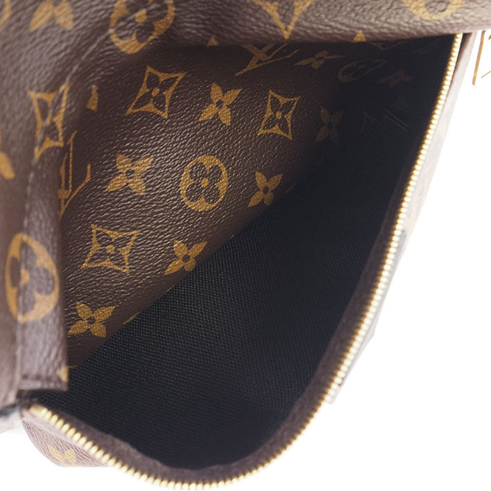 Louis Vuitton Palm Springs Backpack MM Monogram